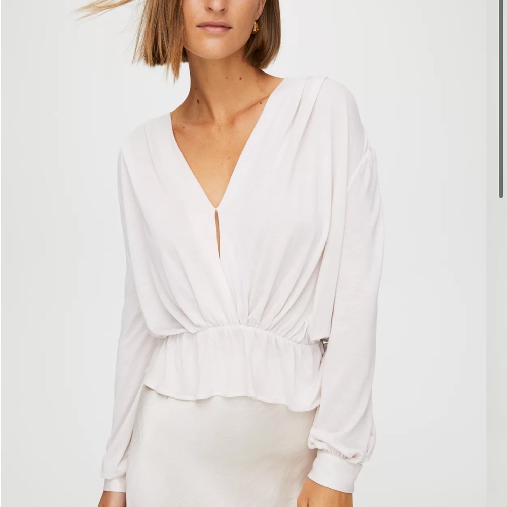 Aritzia Babaton Carlton Long Sleeve